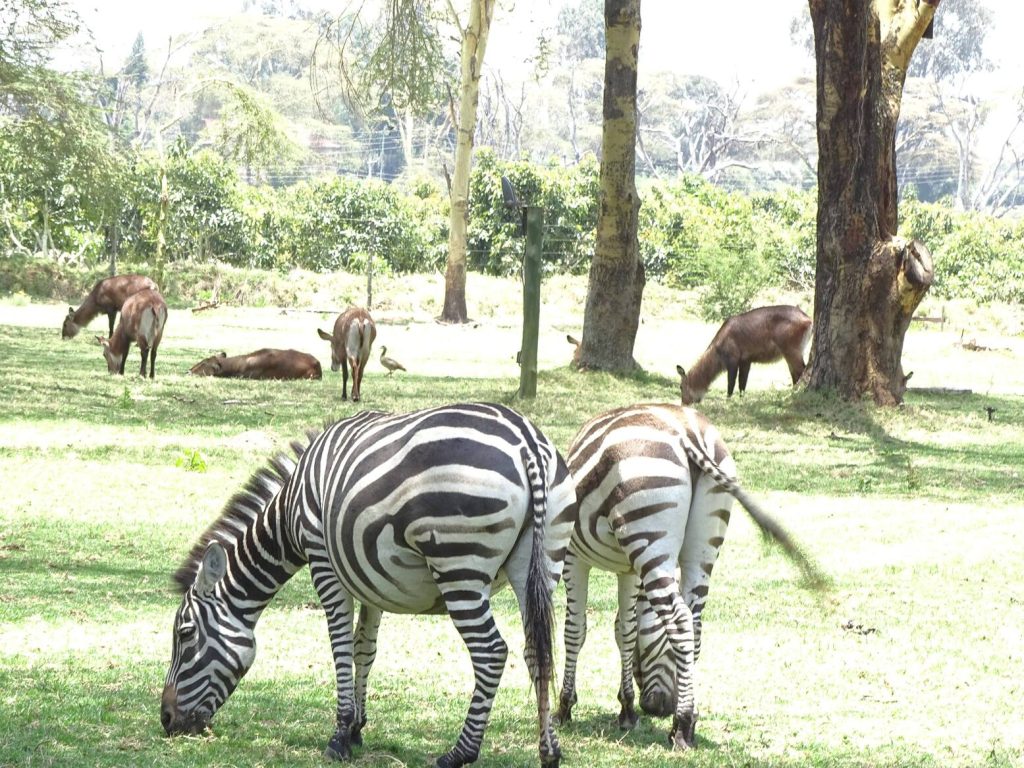 Game_Drives_1_30